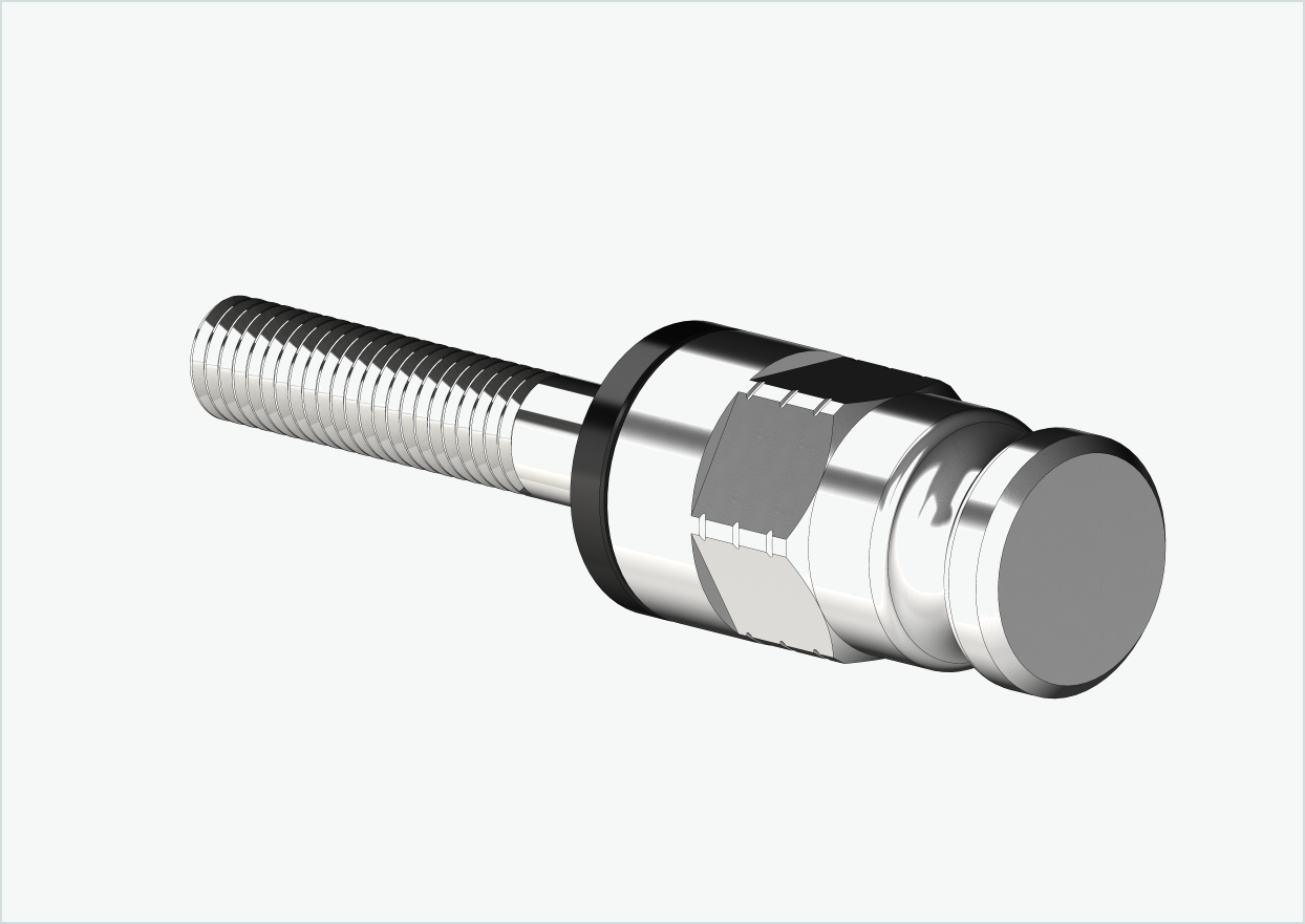 Adaptador para bujes de engranaje Enviolo a partir de 2024 | adecuado para Leggero con sistema BECCO